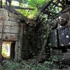 A Photo Tour Of Beautifully Decaying North Brother Island